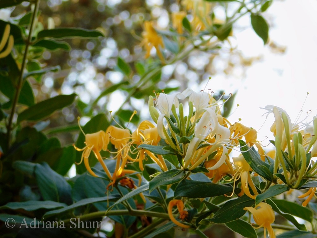 blog 14 May 2018 a_marked