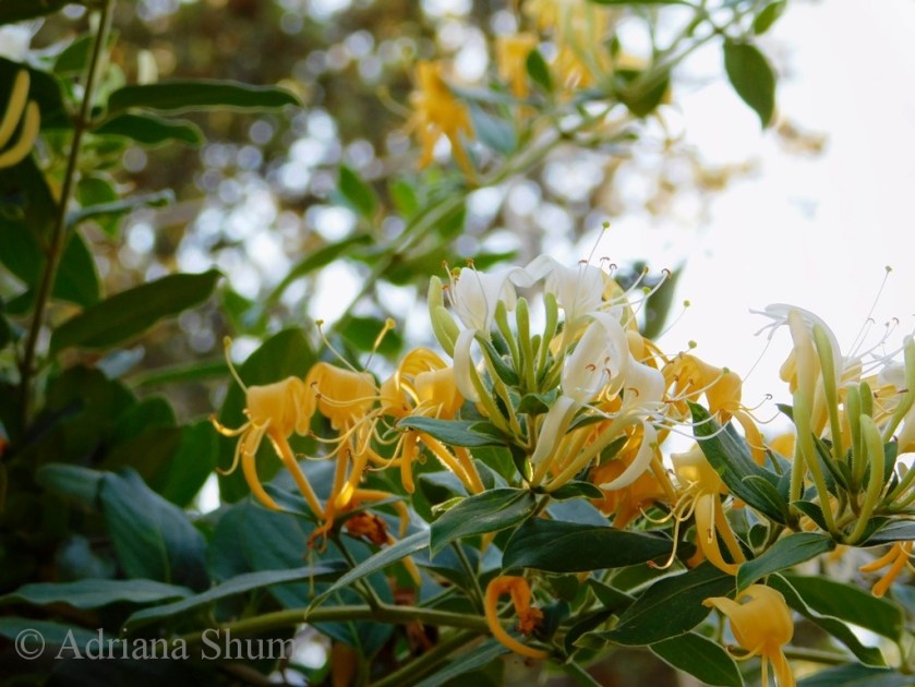 blog 14 May 2018 a_marked