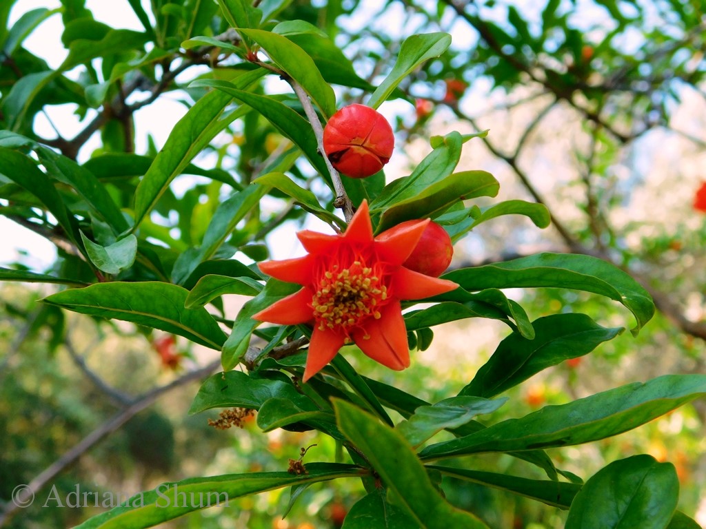 blog 14 May 2018 b_marked