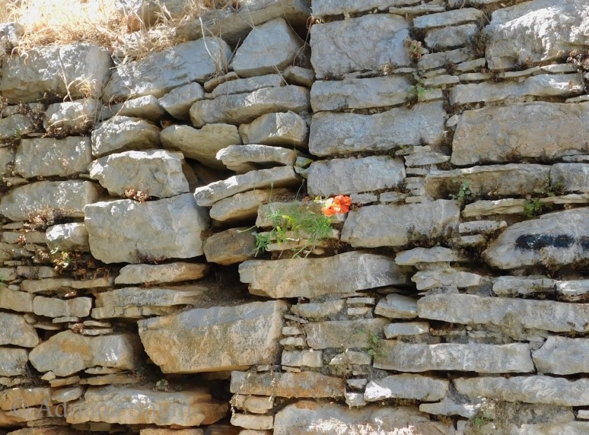 blog 14 May 2018 f_marked