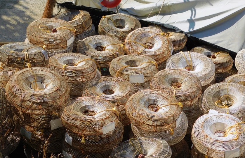 blog 25 August 2018 i