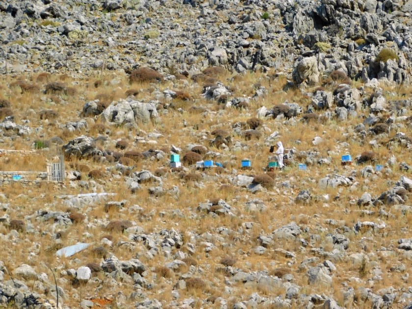 blog 25 August 2018 k