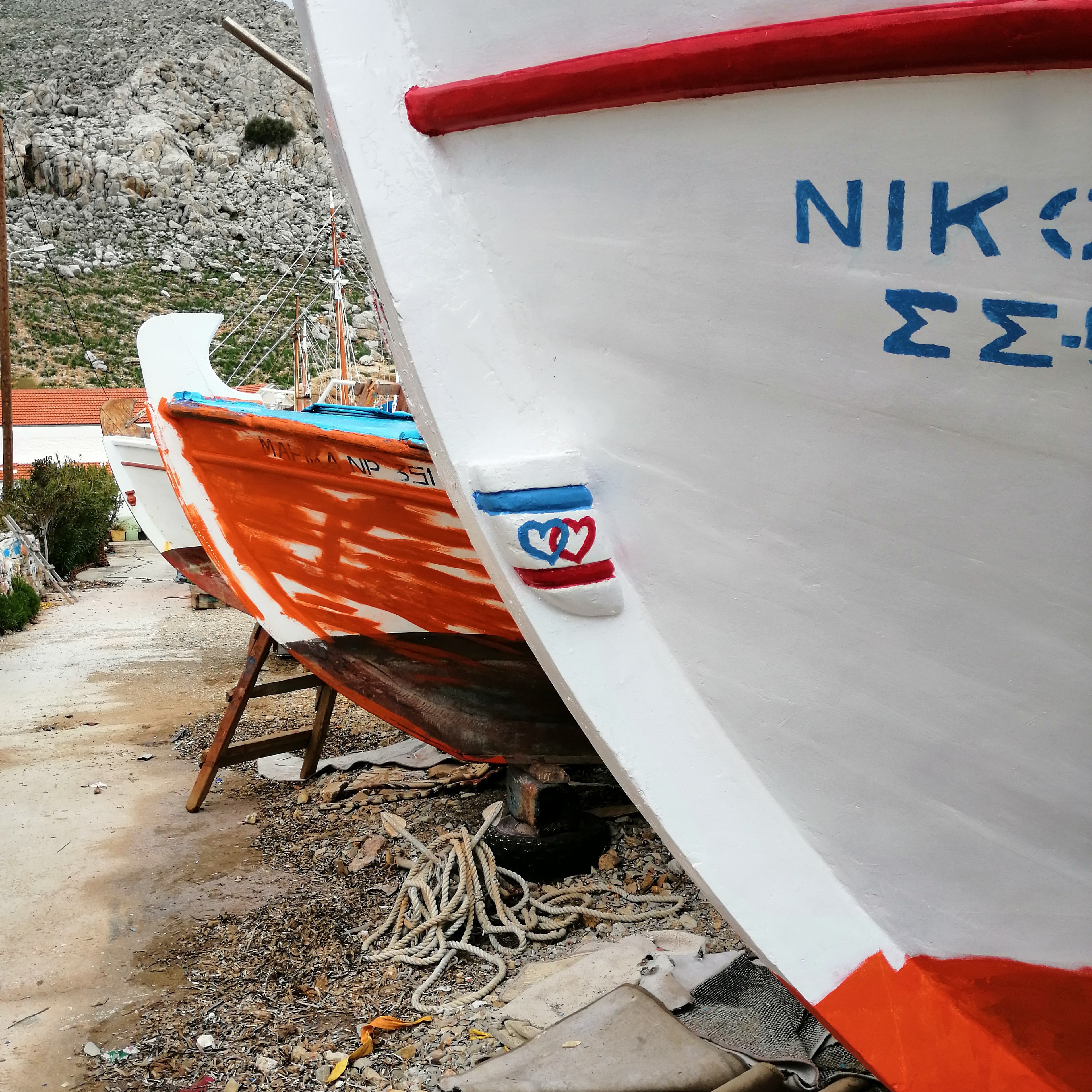 IMG_20190309_064208_472 (2)