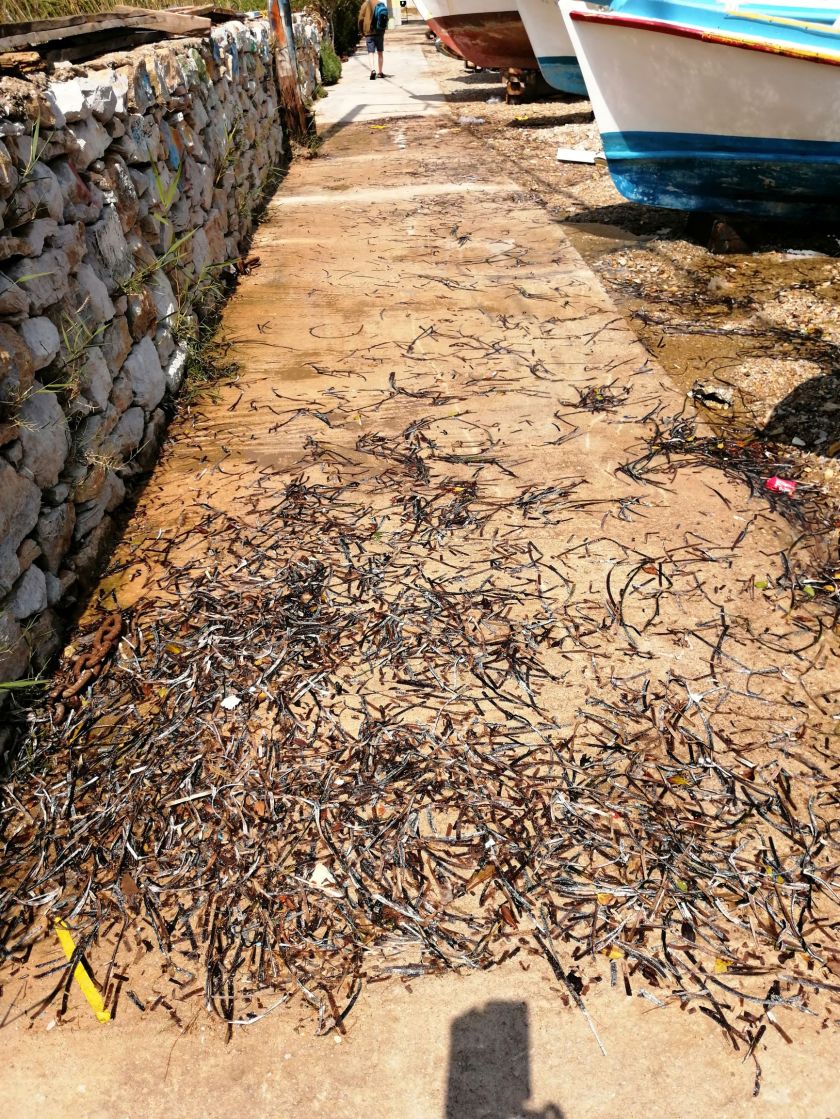 blog 12 April 2019 c1