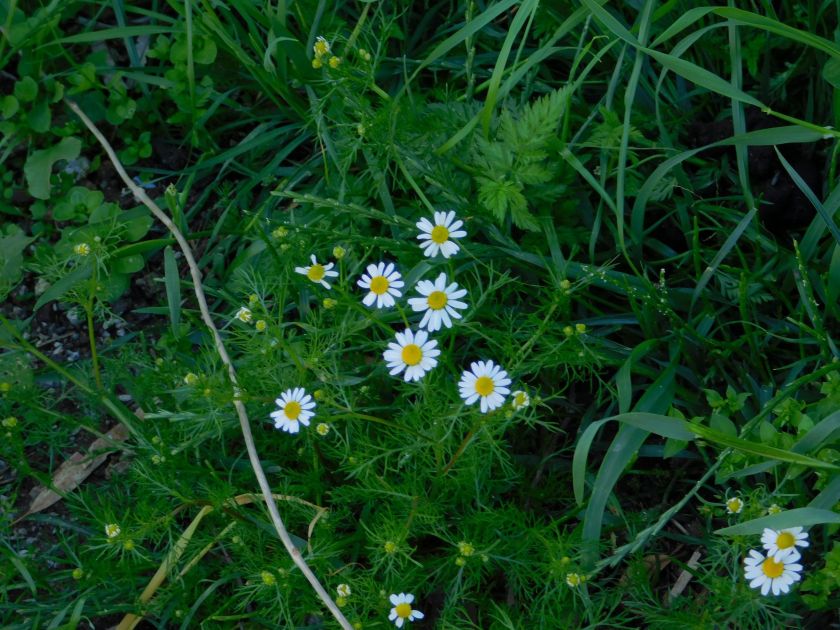 blog 12 April 2019 h1