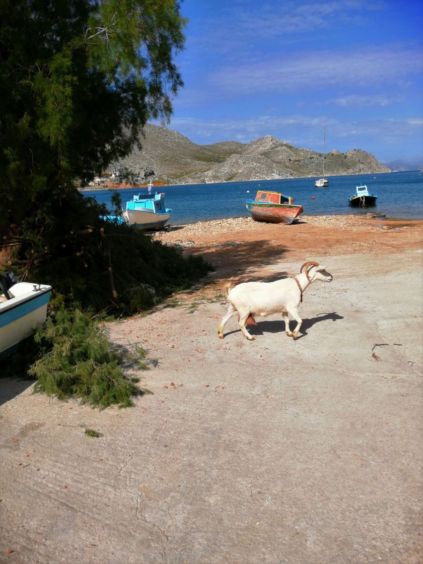 blog 22 April 2019 b