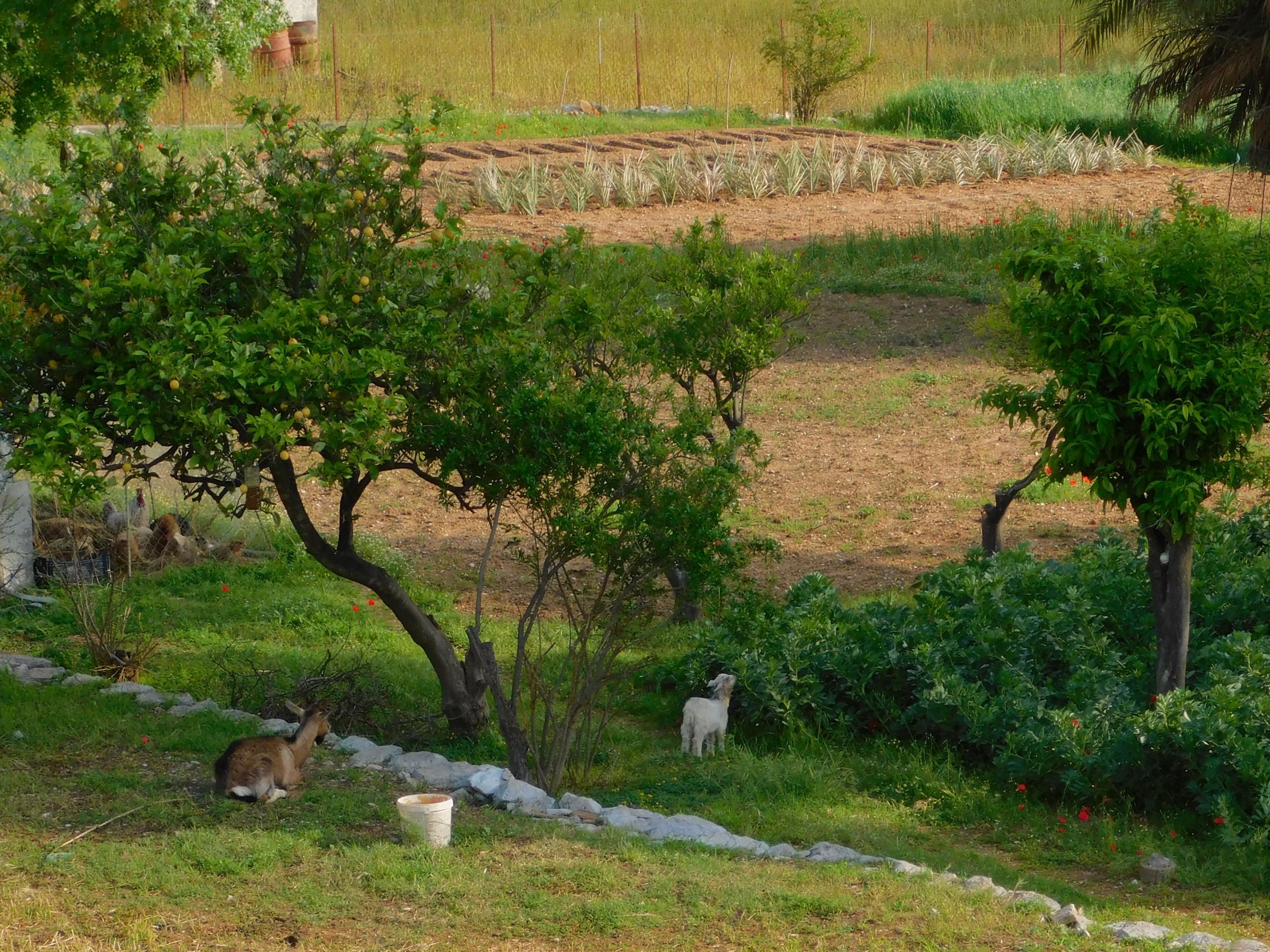 blog 22 April 2019 e