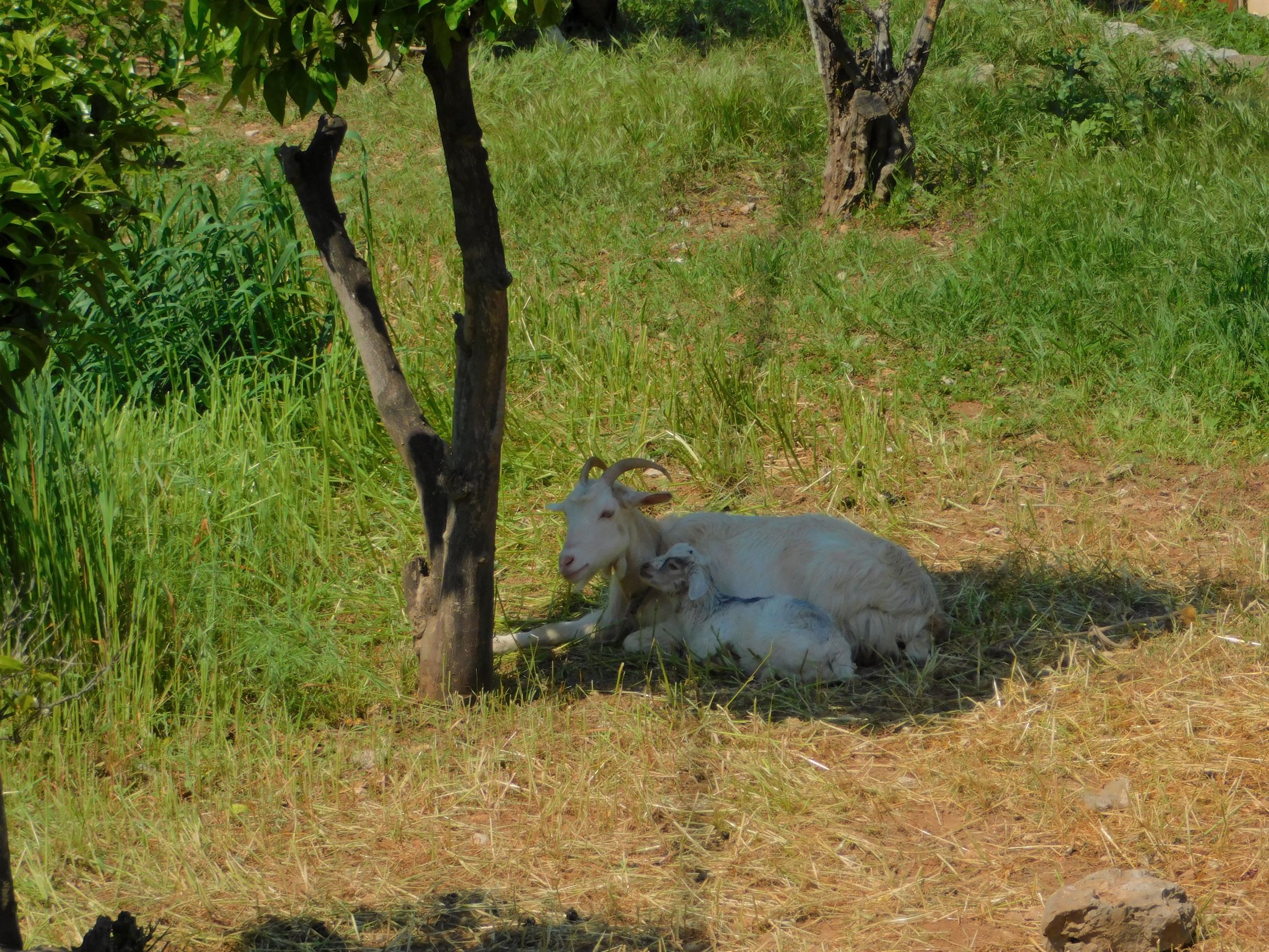 blog 22 April 2019 e2