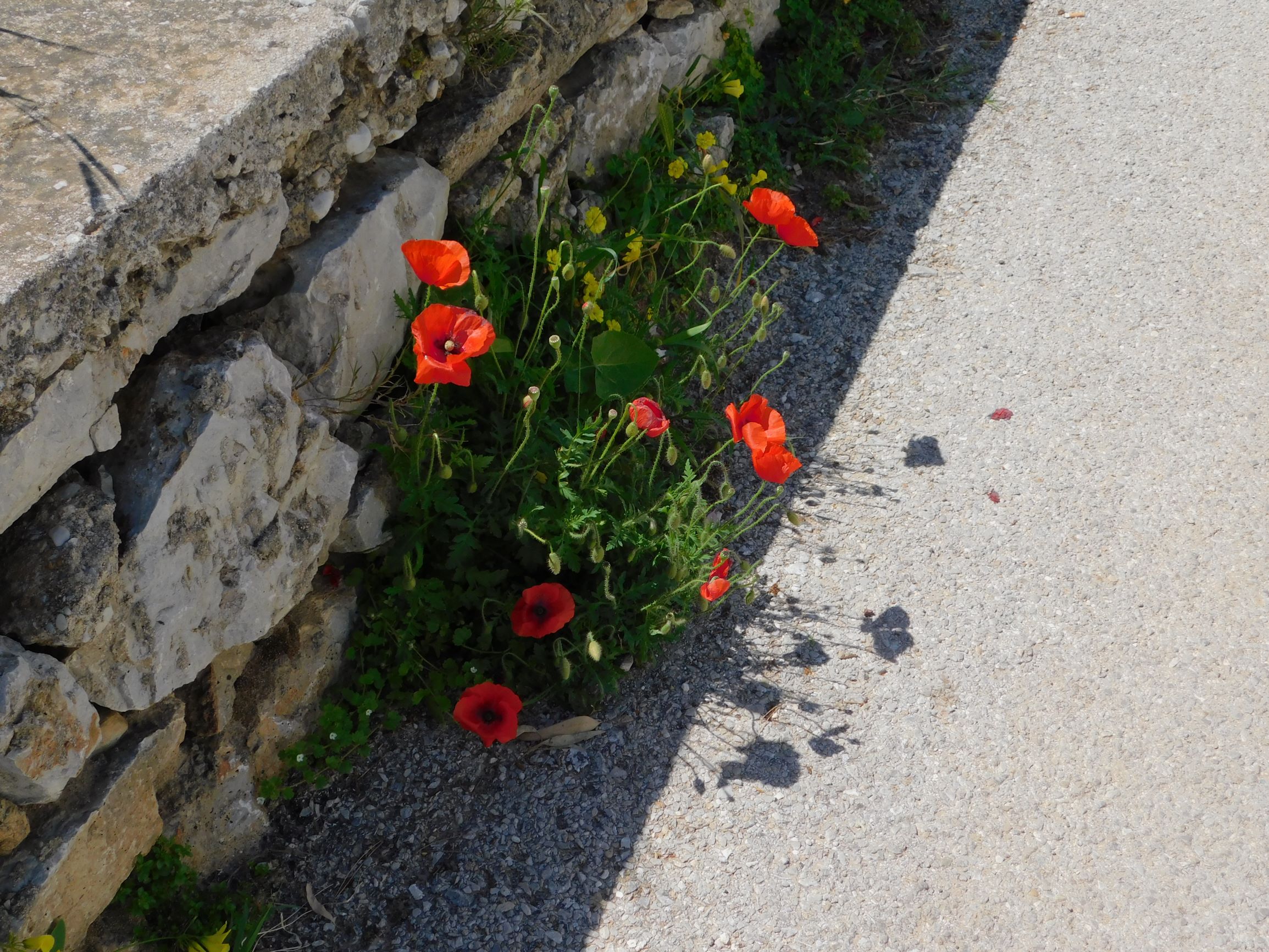 blog 22 April 2019 h