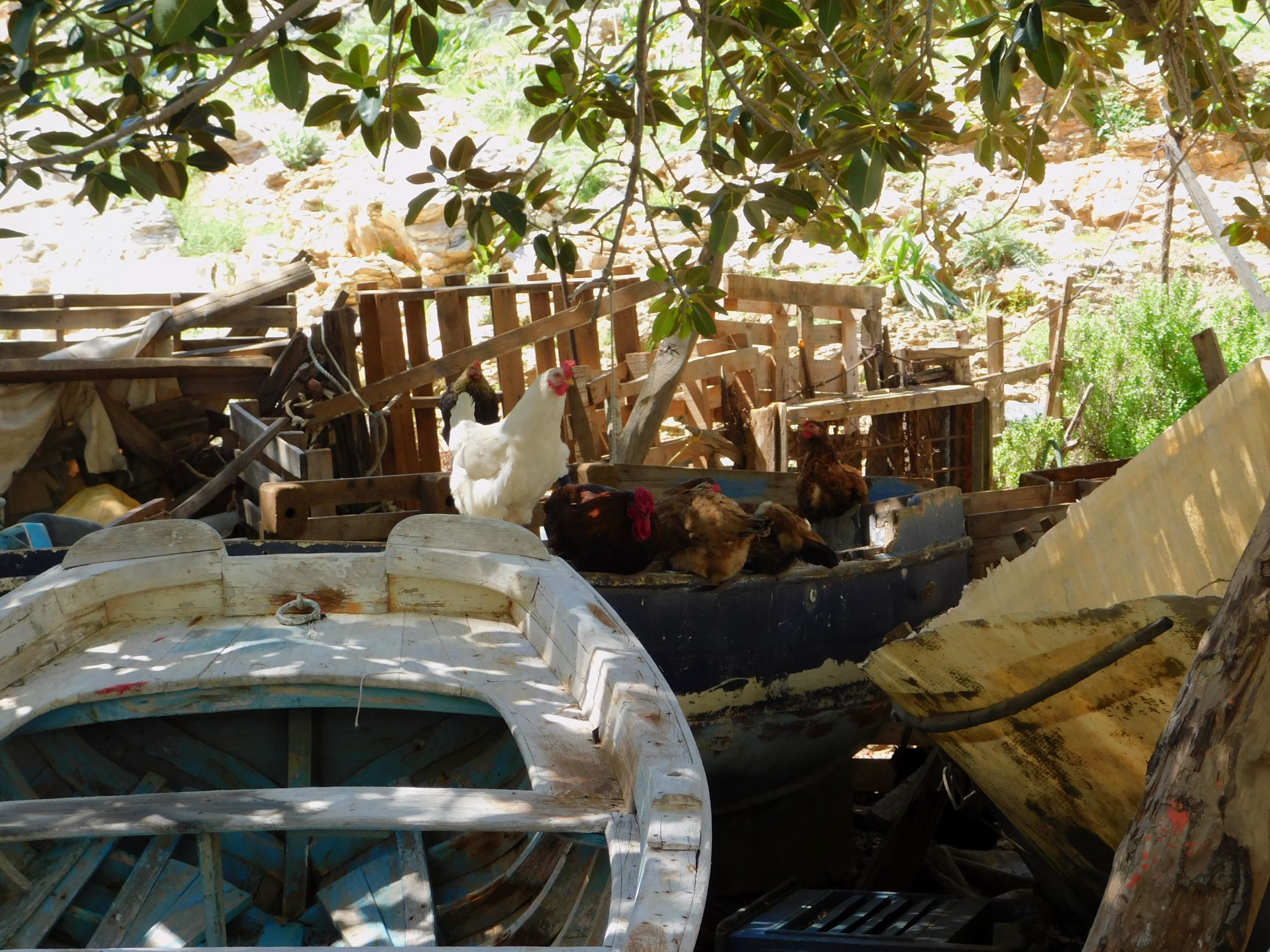 blog 22 April 2019 i