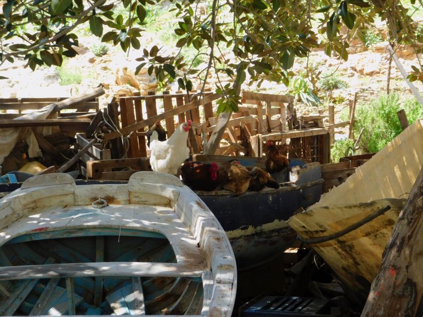 blog 22 April 2019 i