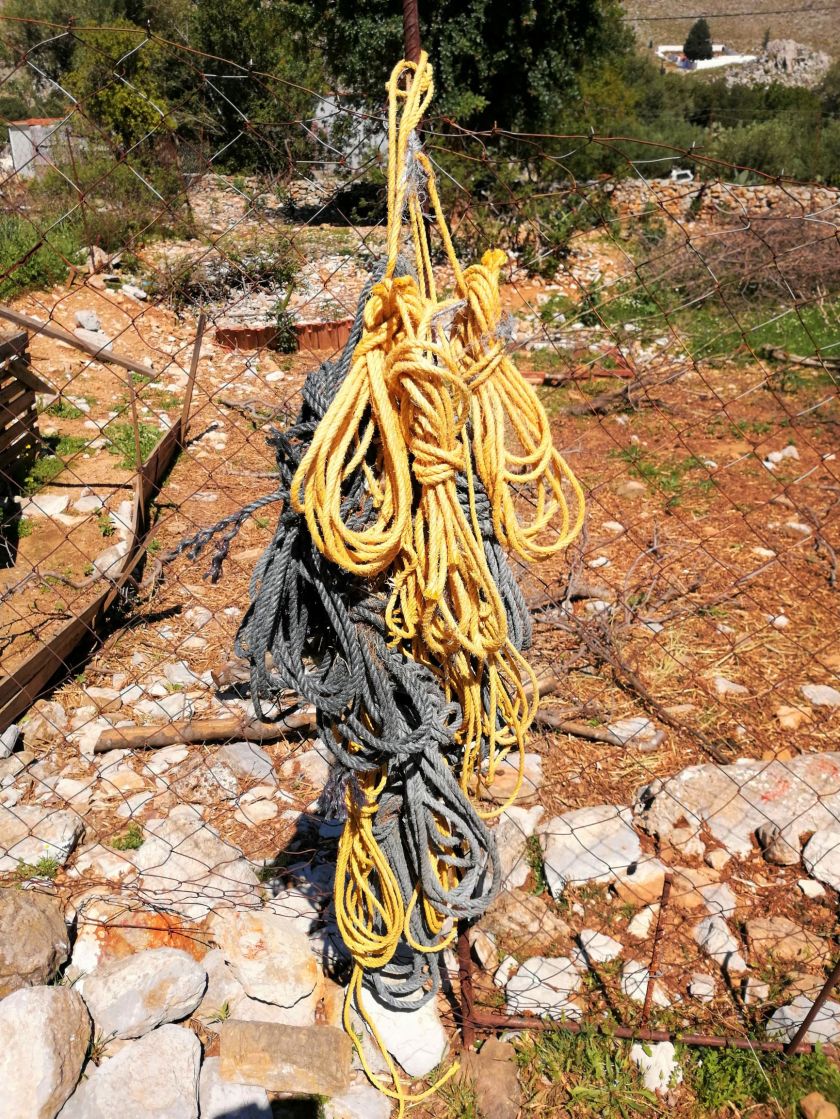 blog 22 April 2019 q