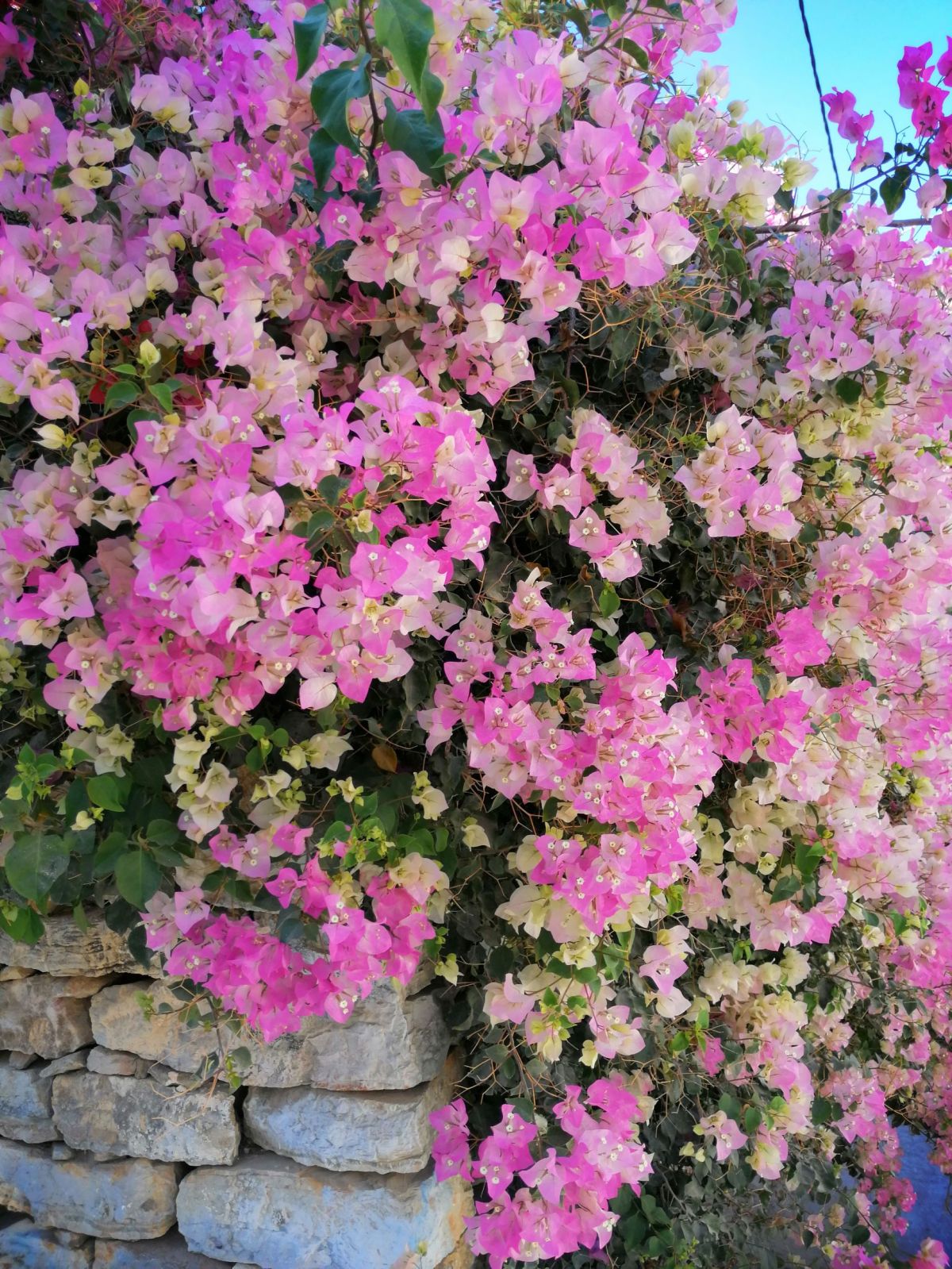 Symi Colours in&nbsp;October
