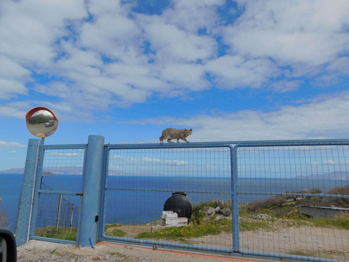 February postcards from&nbsp;Nisyros
