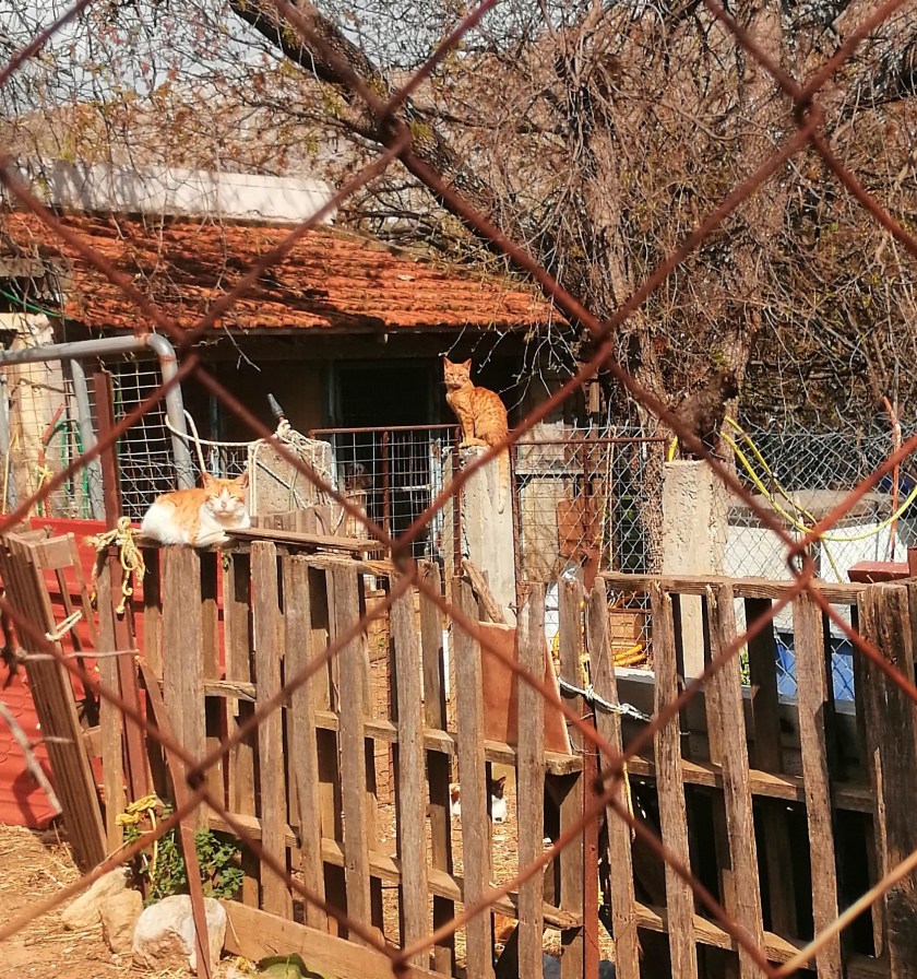 blog 12 April 2020 a