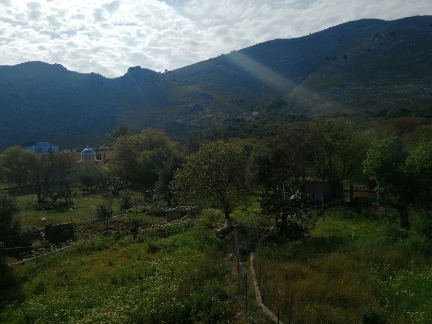 blog 12 April 2020 f