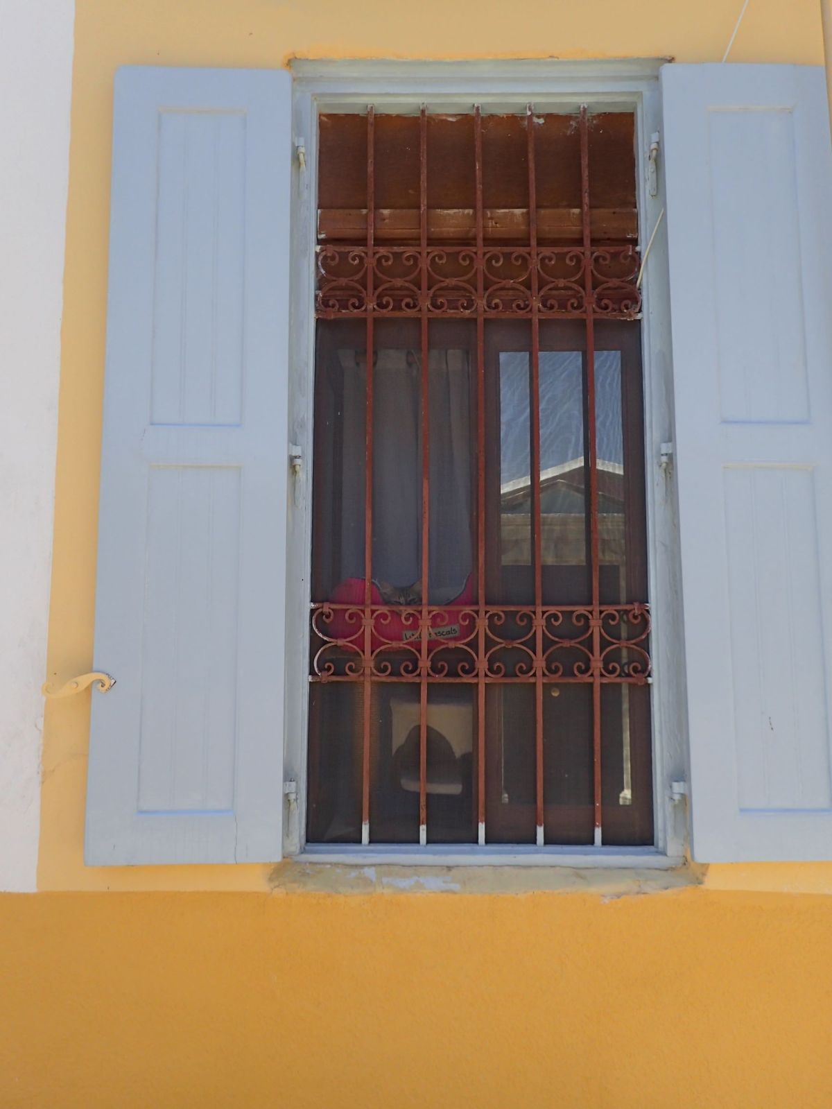 Coming Out of&nbsp;Quarantine