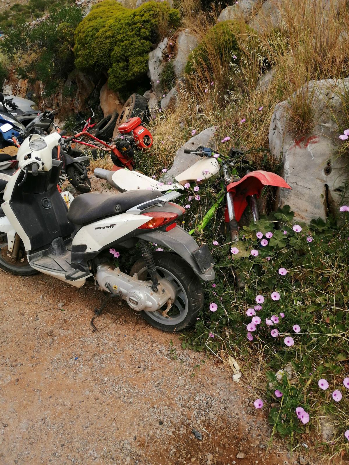 Suddenly it is&nbsp;Summer